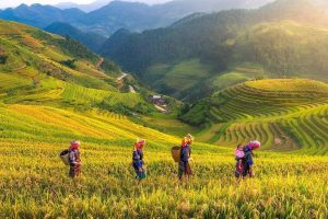 Cẩm nang du lịch Yên Bái