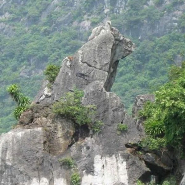 Hòn Chó Đá - Hạ Long