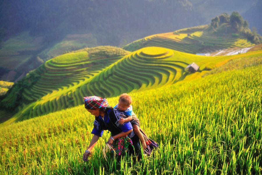Lịch trình Mộc Châu 3 ngày 2 đêm