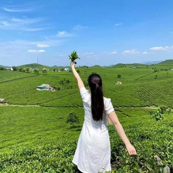 Du lịch Mộc Châu mùa hè
