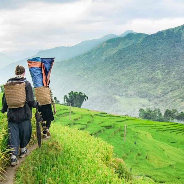 Trekking bản Cát Cát - Lao Chải - Tả Van