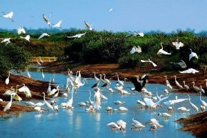 vườn quốc gia Xuân Thủy