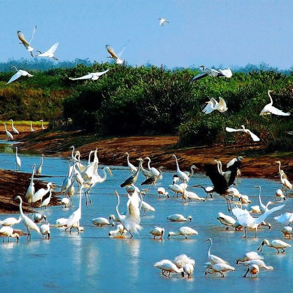 vườn quốc gia Xuân Thủy