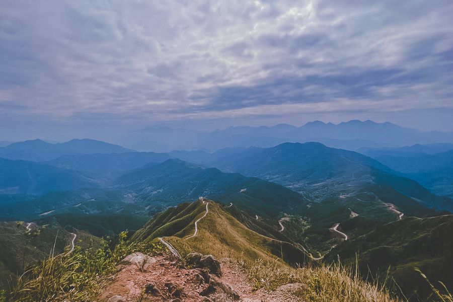 Ảnh chụp toàn cảnh sống lưng khủng long