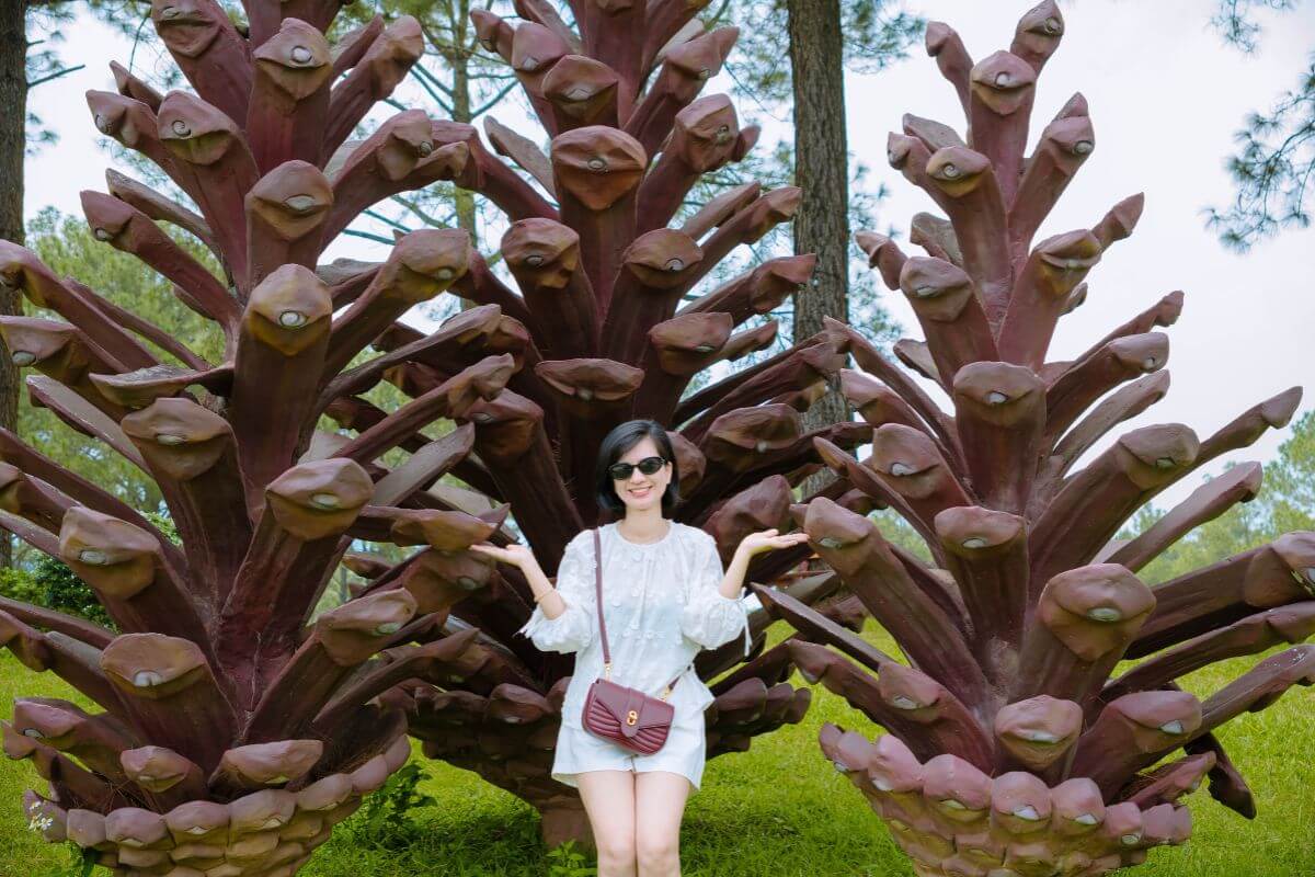 Check in các điểm nổi bật trong tour du lịch Tây Bắc 2 ngày 1 đêm