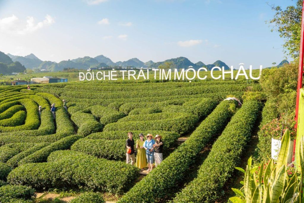 Công Ty Du Lịch Tầm Nhìn Việt