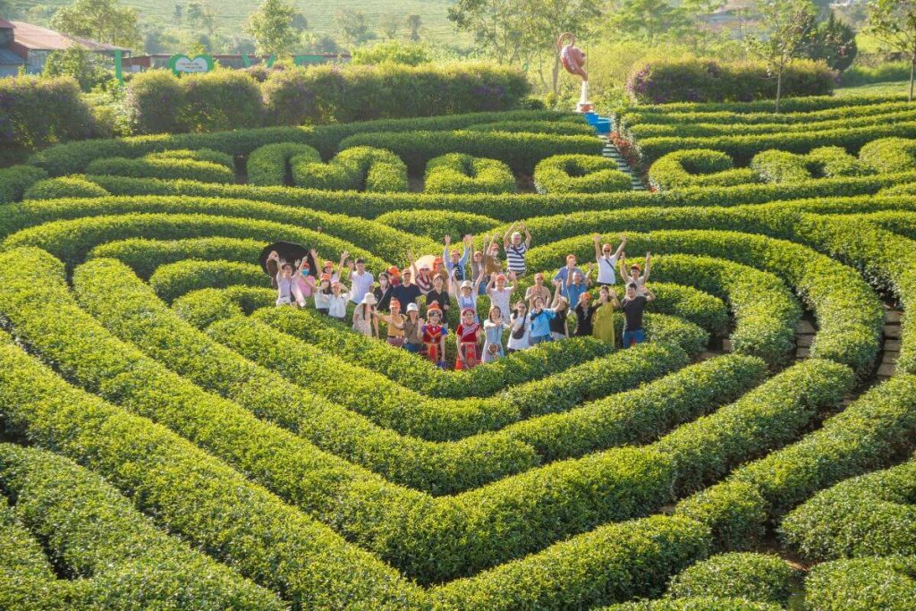 Công Ty Du Lịch Tầm Nhìn Việt