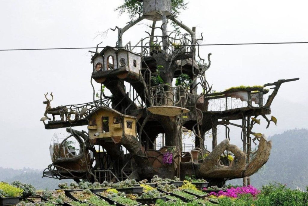 Công Ty Du Lịch Tầm Nhìn Việt