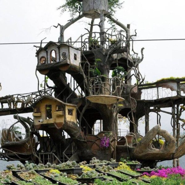 Khung cảnh bản Cát Cát trong Tour Du Lịch Tây Bắc 2 Ngày 1 Đêm