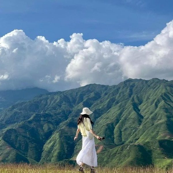 Thảo nguyên Tà Xùa bình minh trong sương