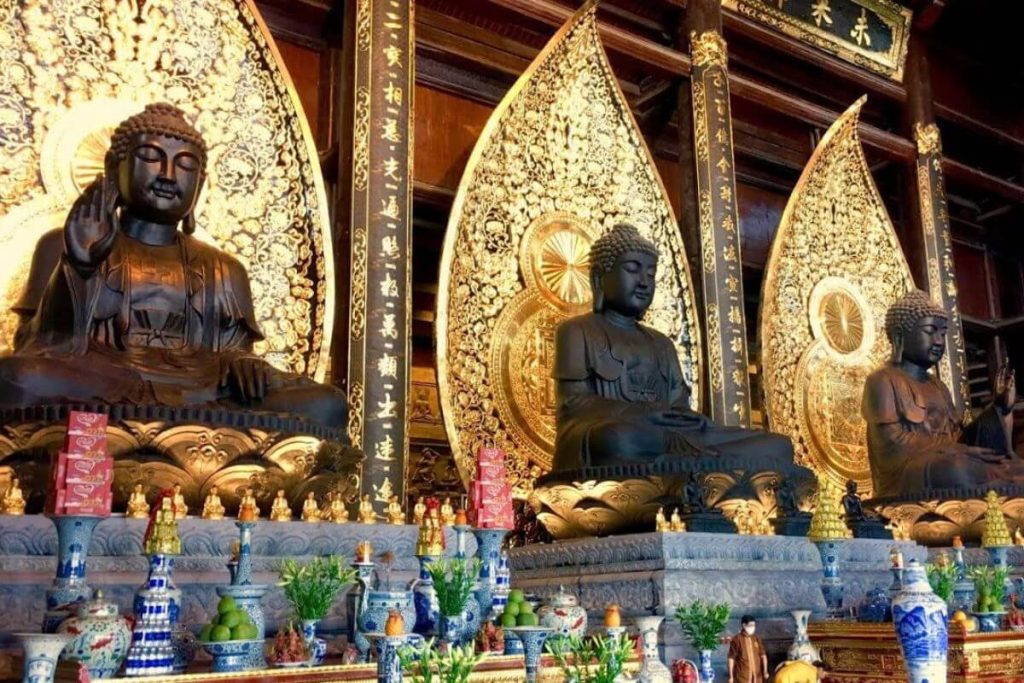 Công Ty Du Lịch Tầm Nhìn Việt