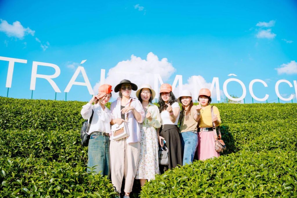 Công Ty Du Lịch Tầm Nhìn Việt