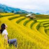 Tour Tây Bắc 2N1Đ check in đồi chè Xím Vàng