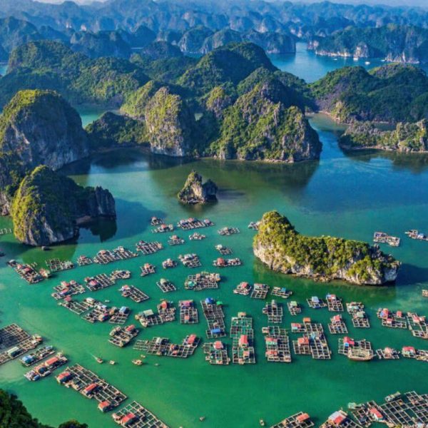 Tour du lịch Hà Nội -Ninh Bình tham quan làng chài