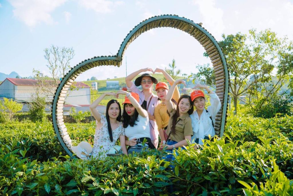 Công Ty Du Lịch Tầm Nhìn Việt