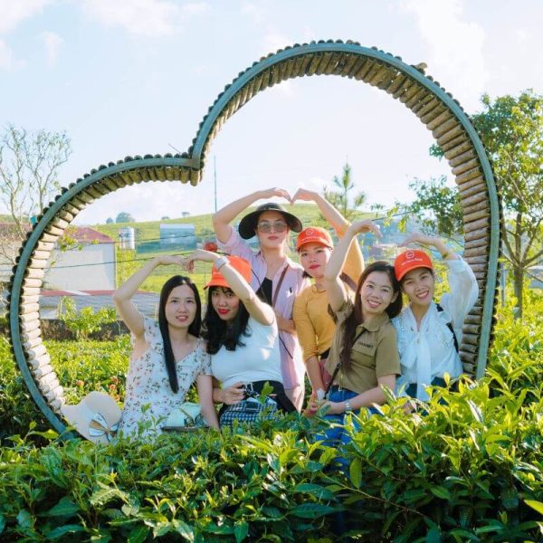 Tour du lịch Tây Bắc tham quan đồi chè Mộc Châu