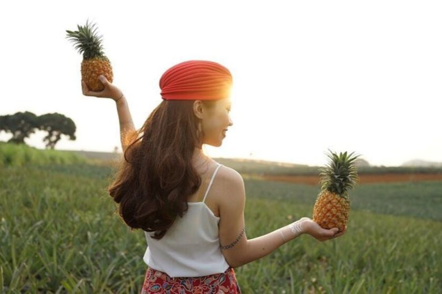 Đồi Dứa Bảo Sơn - Thiên Đường "Sống Ảo" Mùa Chín Vàng Óng