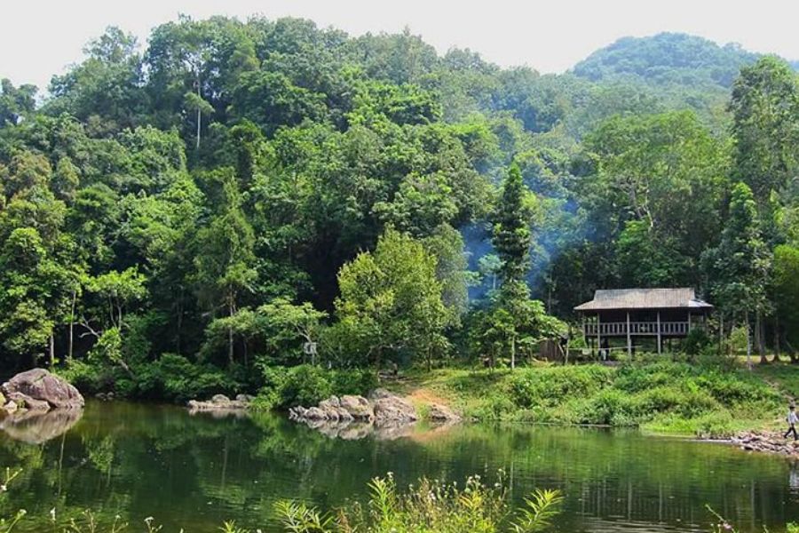 Rừng Nguyên Sinh Khe Rỗ - Hoang Sơ Hùng Vĩ Cho Ảnh Phiêu Lưu