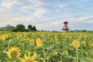 Check in ở Bắc Giang