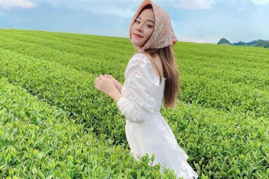 Đồi Chè Long Cốc - Đồi Xanh Mướt Như Đà Lạt Giữa Miền Bắc