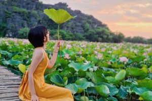 check in ở Phú Thọ