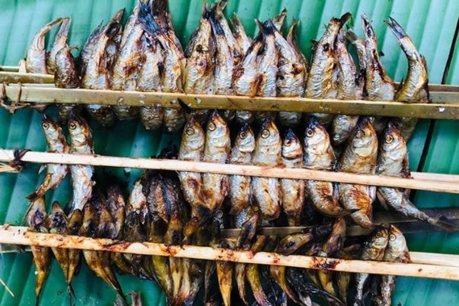 Cá Nướng Hồ Ba Bể: Tươi Rói, Ngọt Lịm Từ Hồ Nước