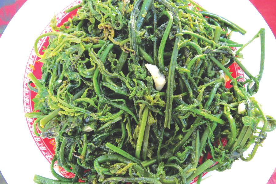 Rau Dớn Xào: Rau Rừng Giàu Vitamin, Dành Cho Ăn Chay