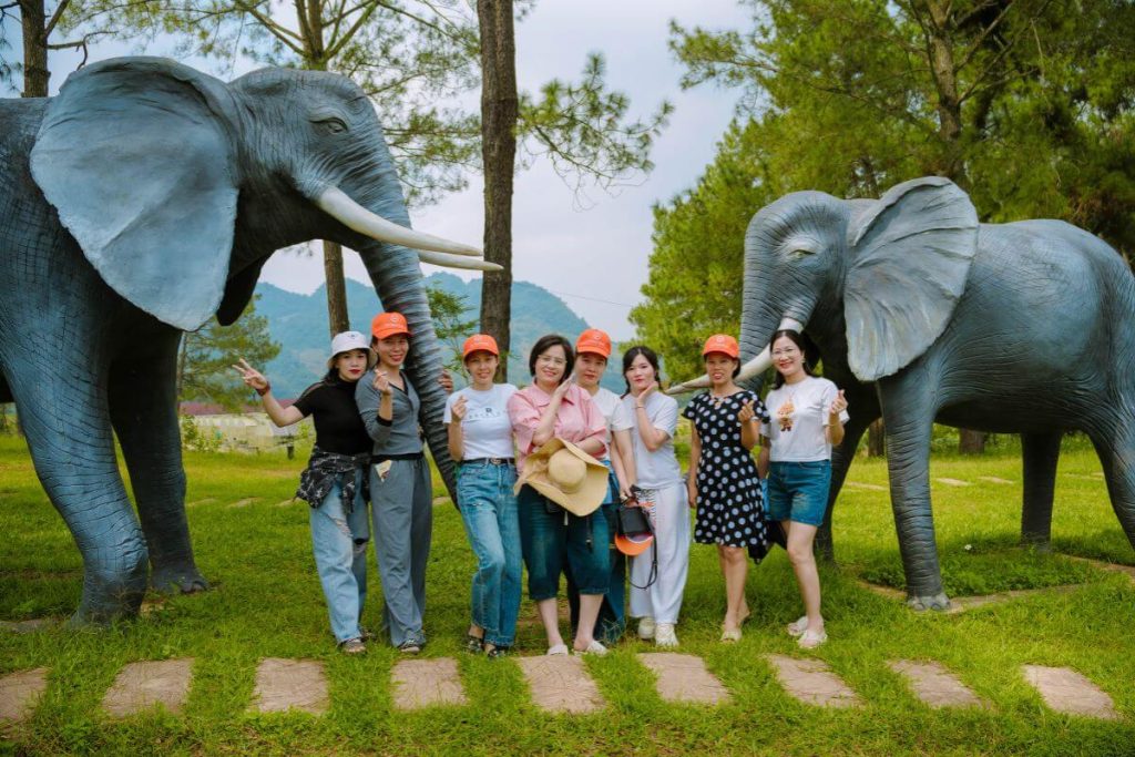 Công Ty Du Lịch Tầm Nhìn Việt