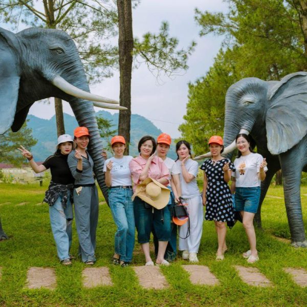 our du lịch Tây Bắc 2N1Đ từ Hà Nội khám phá thiên nhiên Mộc Châu