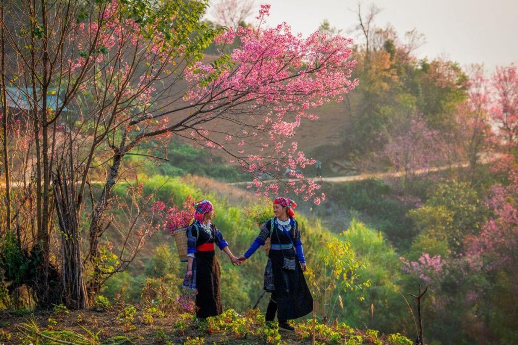 Công Ty Du Lịch Tầm Nhìn Việt