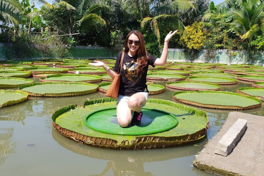 Chùa Lá Sen Phước Kiển Chùa Lá Sen Phước Kiển