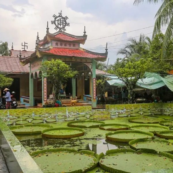 Chùa lá sen Phước Kiển - Tour miền tây 2n1d