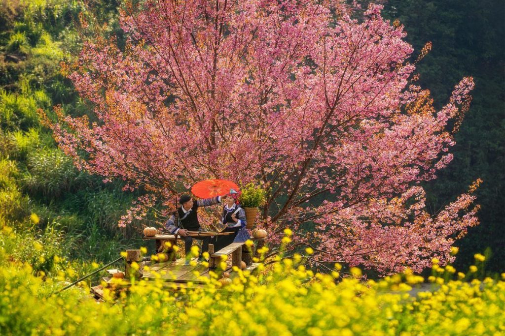 Công Ty Du Lịch Tầm Nhìn Việt