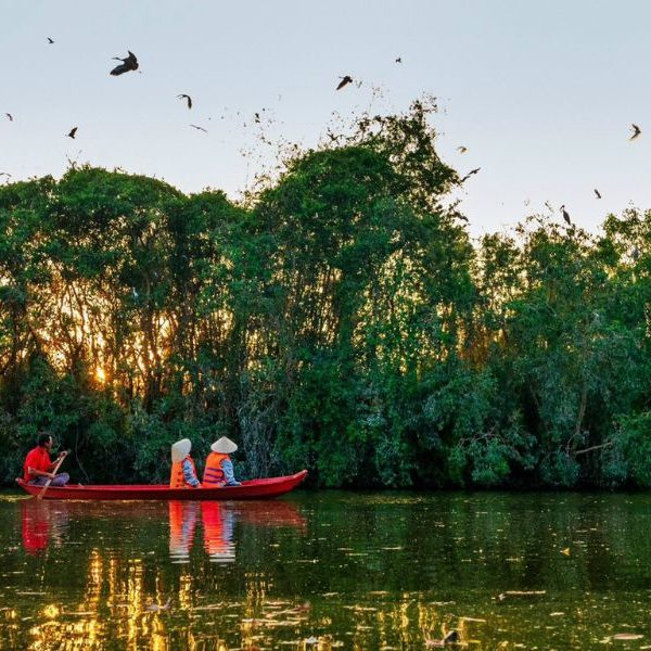 Khu bảo tồn Đồng Tháp Mười - Tour miền tây 2n1d