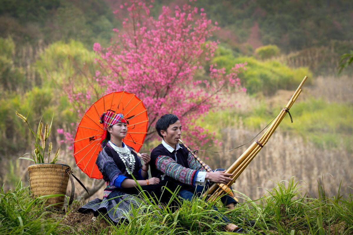 Khung cảnh vườn hoa Tớ Dày nở rộ