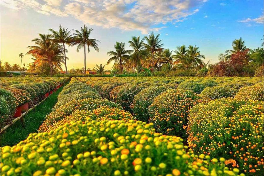 Làng hoa Sa Đéc Làng hoa Sa Đéc