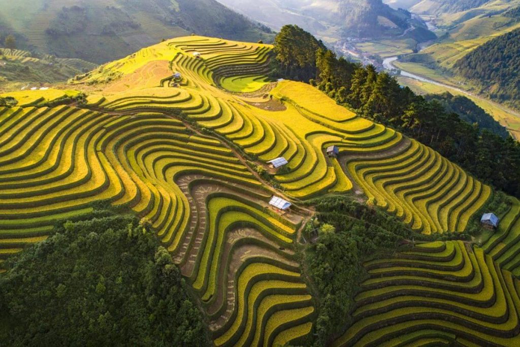 Công Ty Du Lịch Tầm Nhìn Việt