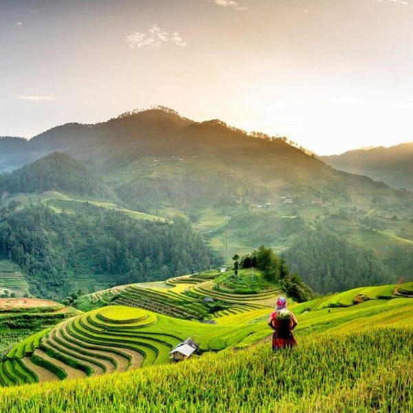 Ruộng Bậc Thang Mù Cang Chải