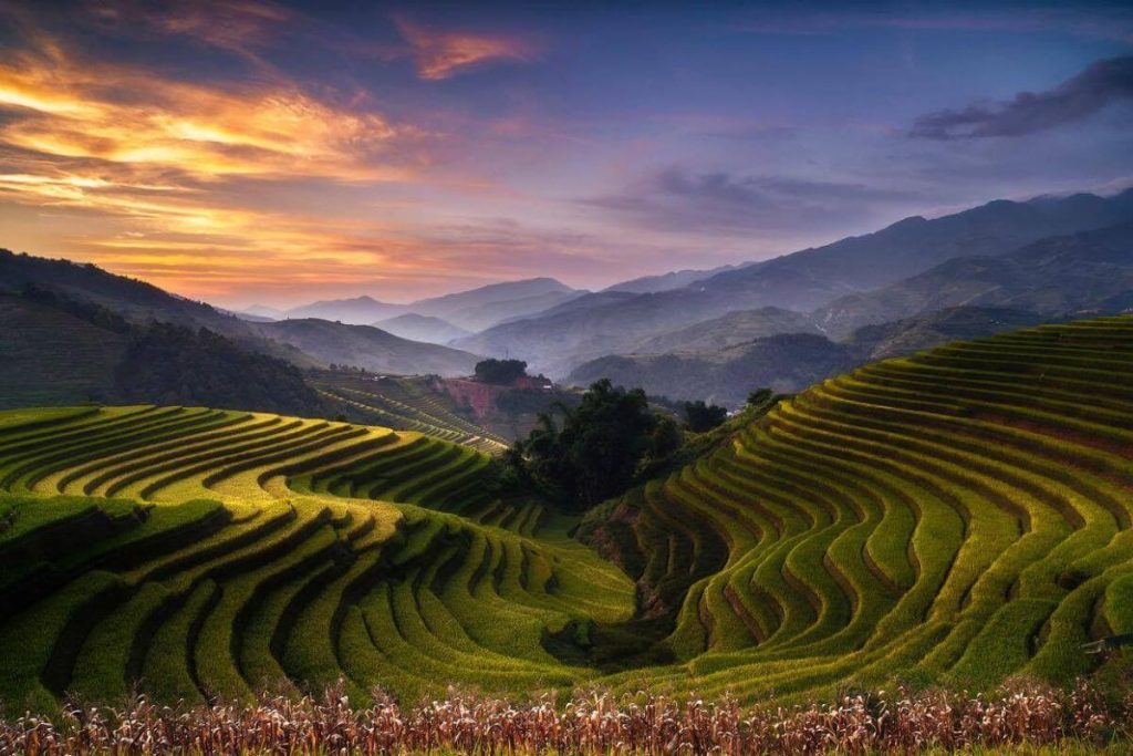 Công Ty Du Lịch Tầm Nhìn Việt