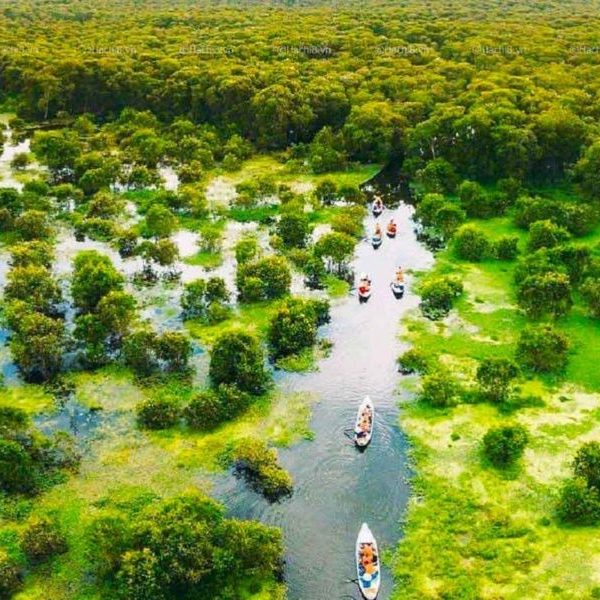 Tràm chim Tam Nông - Tour miền tây 2n1d