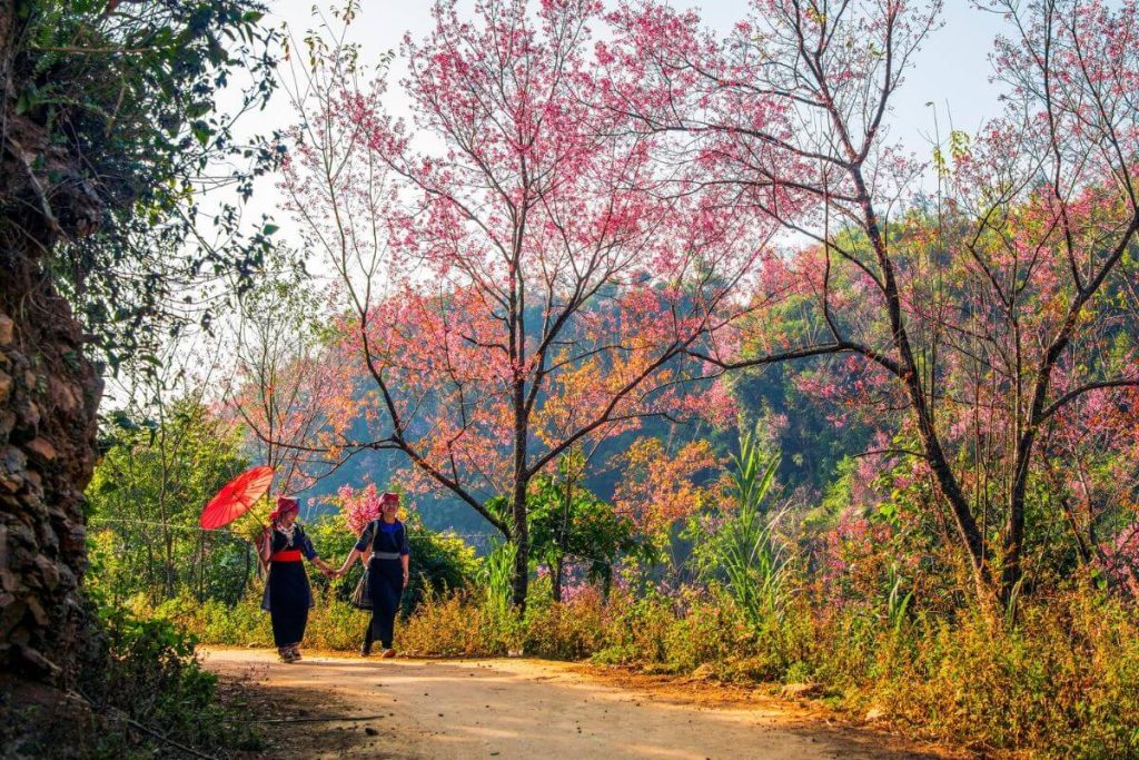 Công Ty Du Lịch Tầm Nhìn Việt