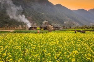 Những Cảnh Đẹp Hà Giang Nhất Định Phải Chinh Phục Năm 2026