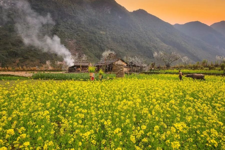 Những Cảnh Đẹp Hà Giang Nhất Định Phải Chinh Phục Năm 2026