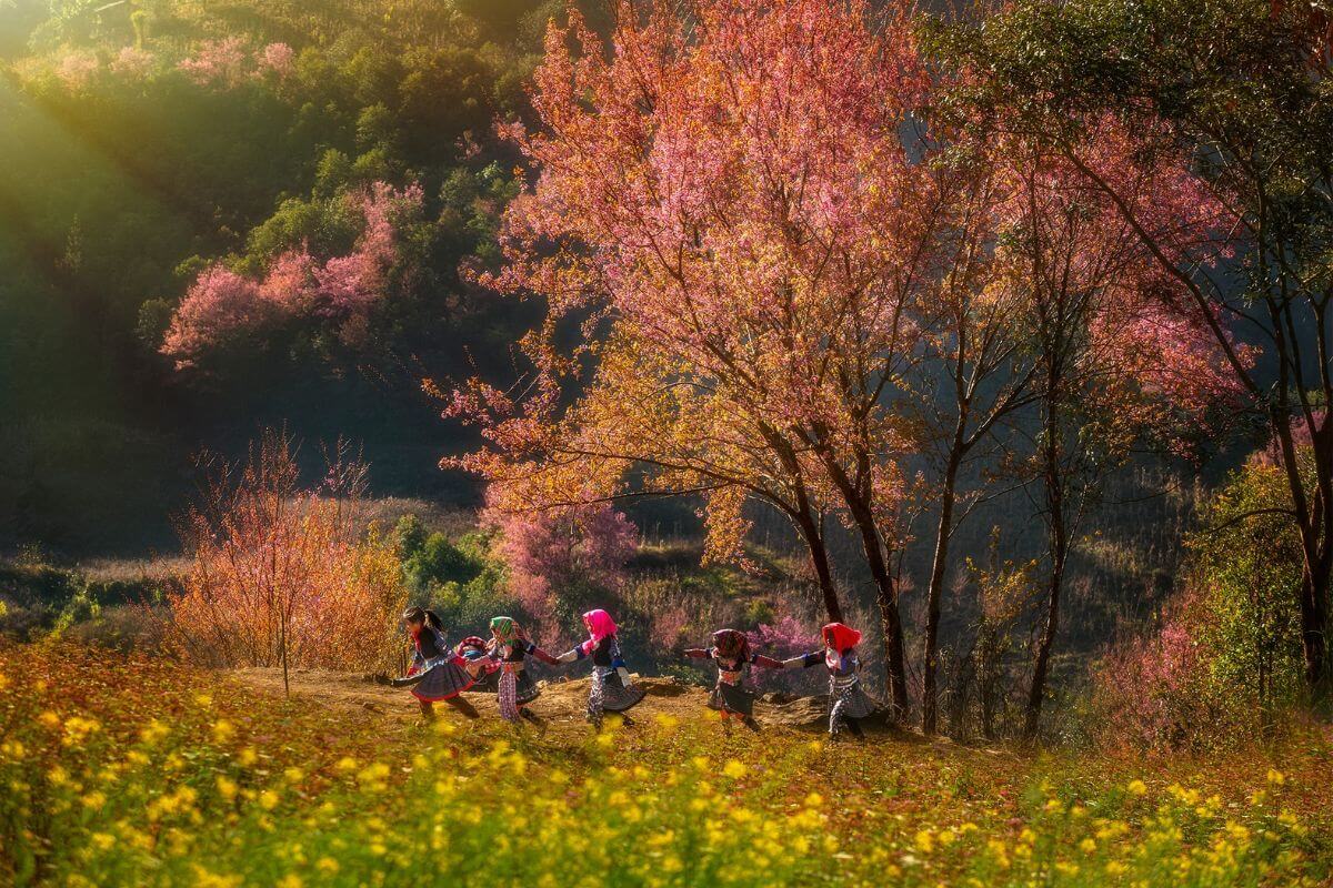 trải nghiệm đặc sắc trong tour Hà Nội – Tú Lệ – Mù Cang Chải