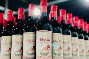 Rượu sim Phú Quốc đặc sản truyền thống từ sim rừng