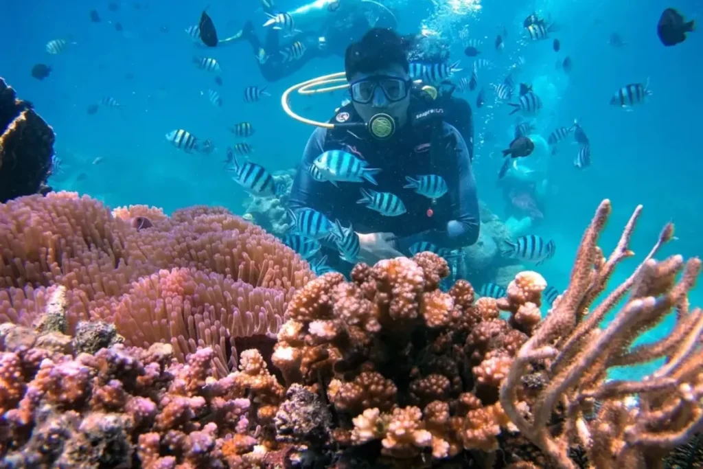 chơi gì ở Phú Quốc và các điểm tham quan Phú Quốc