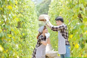 Lịch trình du lịch Phú Quốc