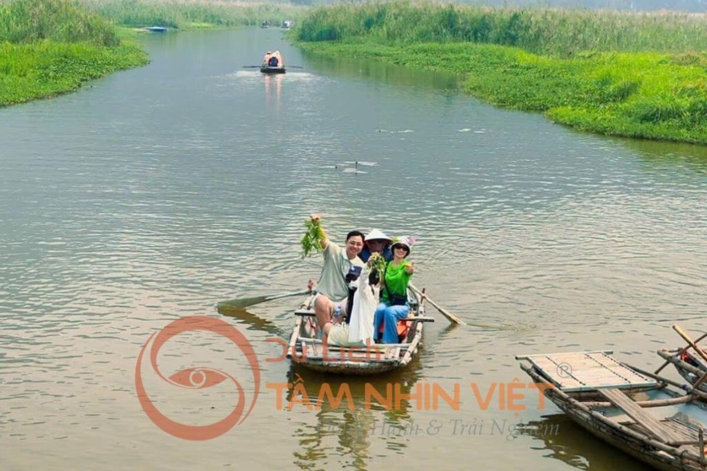 Công Ty Du Lịch Tầm Nhìn Việt