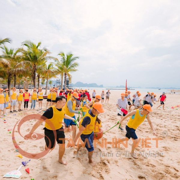 Đoàn doanh nghiệp tham gia team building sôi động tại bãi biển Phan Thiết cùng Du lịch Tầm Nhìn Việt