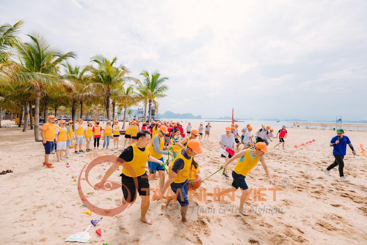 Đoàn doanh nghiệp tham gia team building sôi động tại bãi biển Phan Thiết cùng Du lịch Tầm Nhìn Việt Đoàn doanh nghiệp tham gia team building sôi động tại bãi biển Phan Thiết cùng Du lịch Tầm Nhìn Việt
